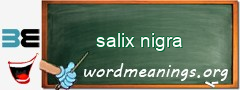 WordMeaning blackboard for salix nigra